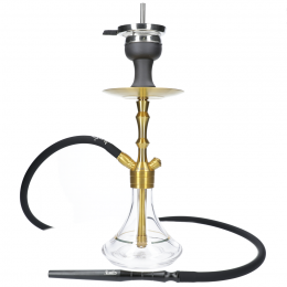 Chicha MVP 360 GOLD EDITION