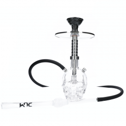 Chicha DUM CRANIUM