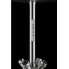 Steamulation Classic Pro X 2