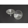 ROI Glass Tray