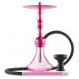 Chicha Ms Beirut