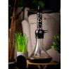 Chicha Ms Middle Daz