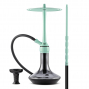 Chicha Tsar H-one