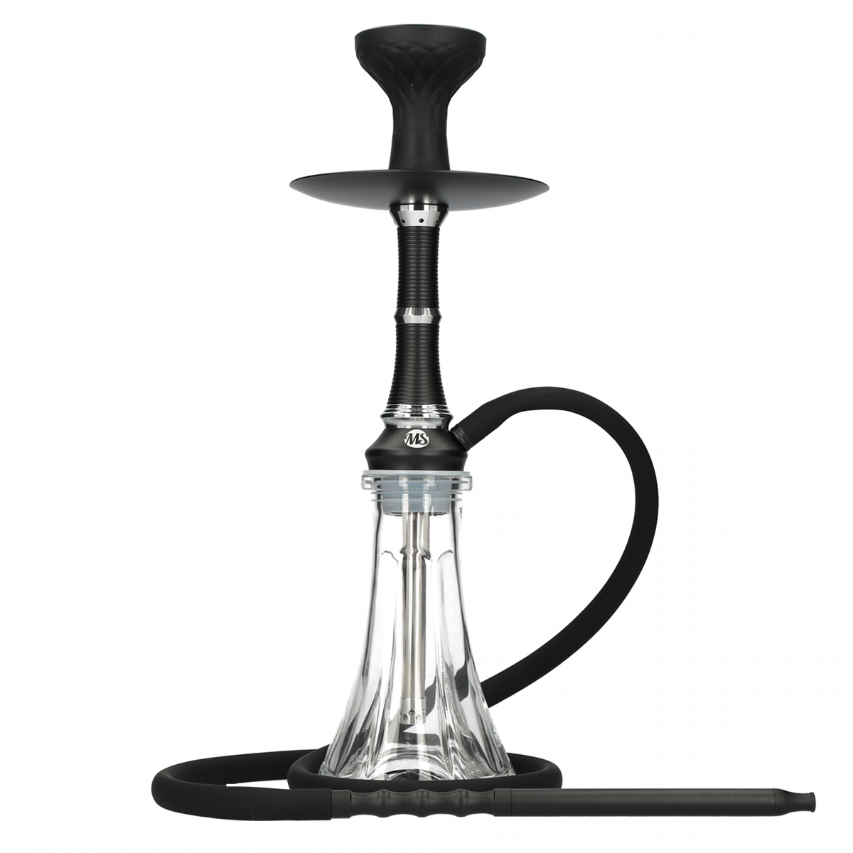 Chicha Ms Camelia Jr