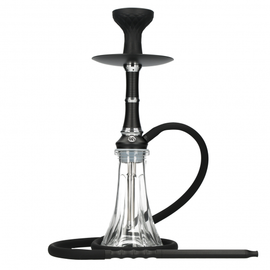 Chicha Ms Camelia Jr
