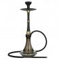 Chicha MS CAMELIA