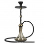 Chicha MS DAY&NIGHT