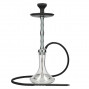 Chicha MS DAY&NIGHT