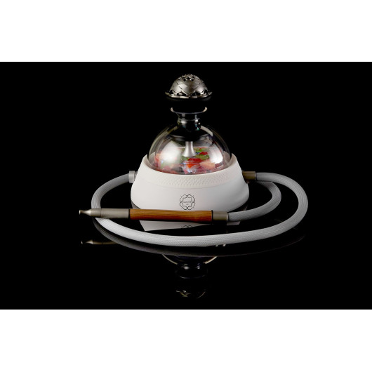 Shisha KALOUD KRYSALIS ELTHERIA