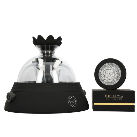 Chicha KALOUD KRYSALIS ELTHERIA