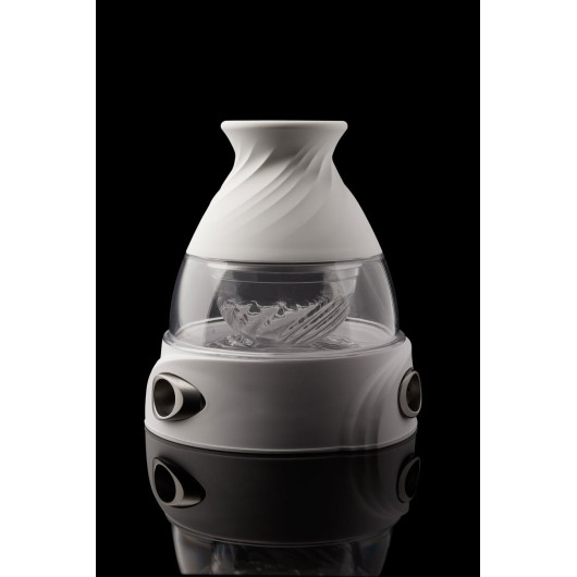 Chicha KALOUD KRYSALIS CALIX ®
