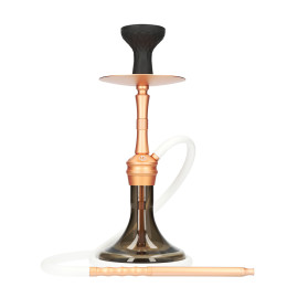 Chicha MS SMOG - AMBER