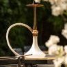 Chicha El-badia C7 V2