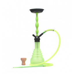 Chicha Ms Samba