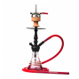 Amy 340 Little Zuri V2