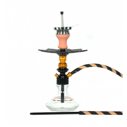 Chicha Ms Leão