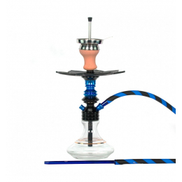 Chicha Ms Leão