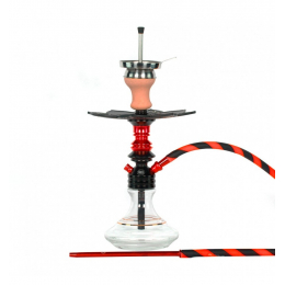 Chicha Ms Leão