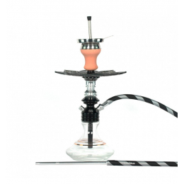 Chicha Ms Leão