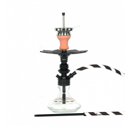 Chicha Ms Leão
