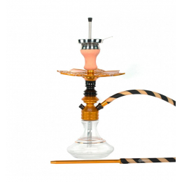 Chicha Ms Leão
