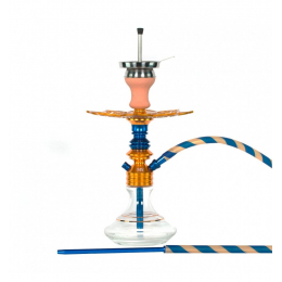 Chicha Ms Leão