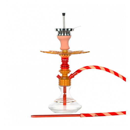Chicha Ms Leão
