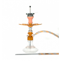 Chicha Ms Leão