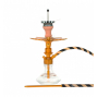 Chicha MS LEÃO