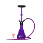 Chicha Ms Samba