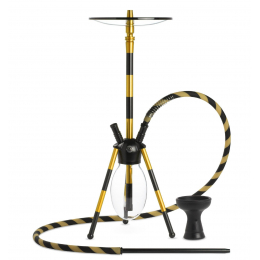 Chicha Ms Venom