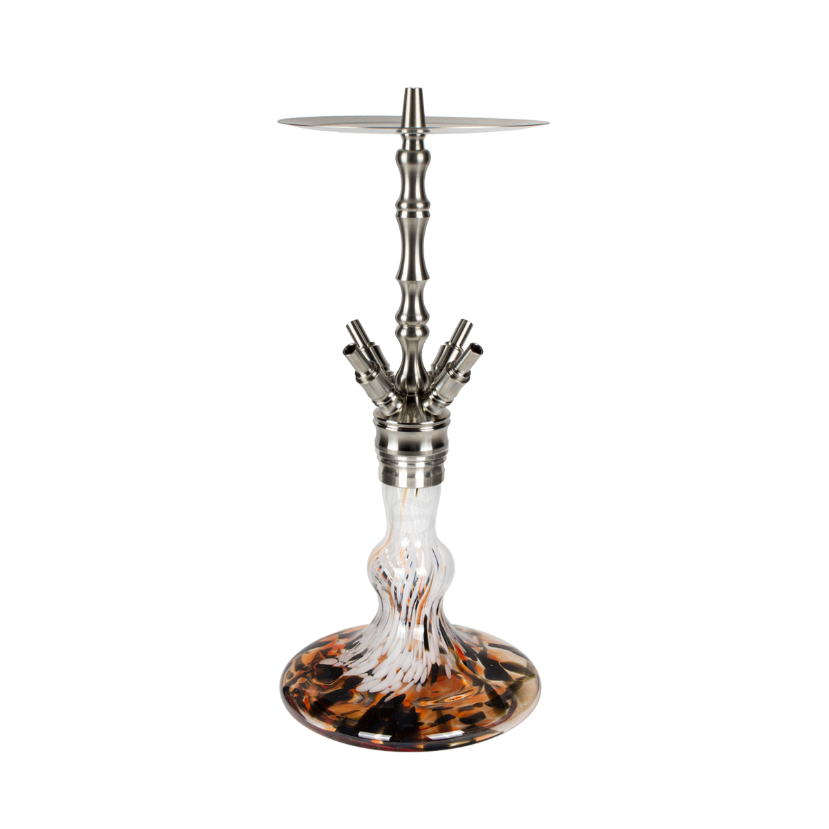Shisha Octopuz Nautiluz