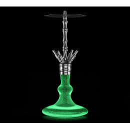 Chicha Octopuz Nautiluz