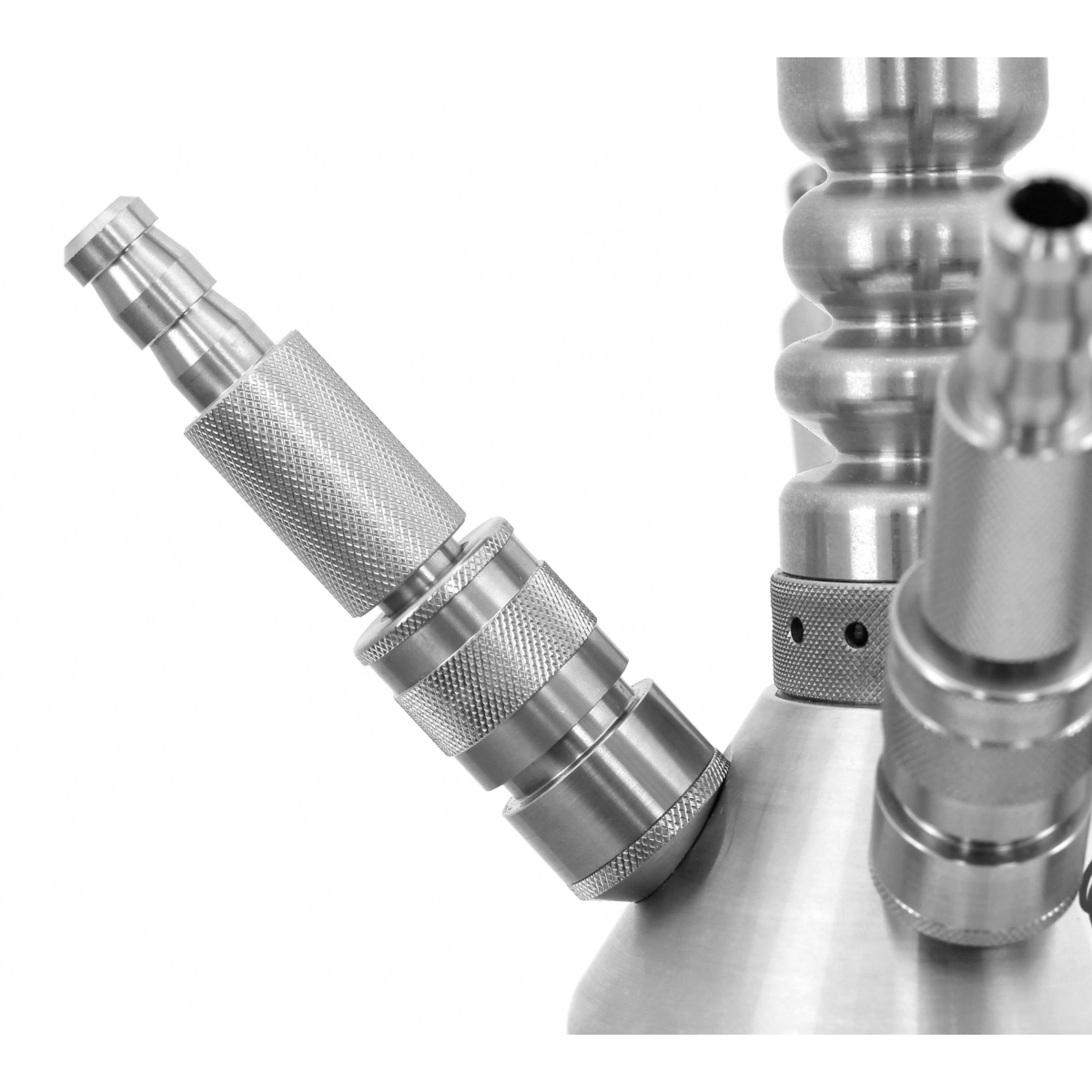 Chicha Gini's Gator Stainless