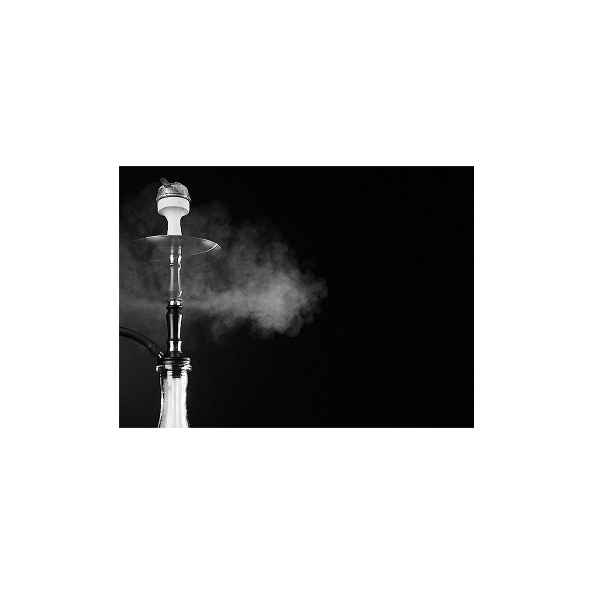 Chicha Y4 HOOKAH RUSH