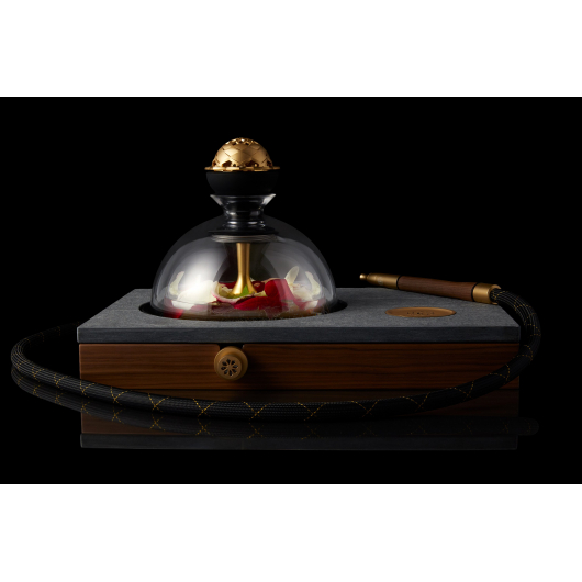 Shisha KALOUD KRYSALIS