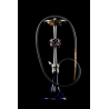 Shisha MAKLAUD ROSE