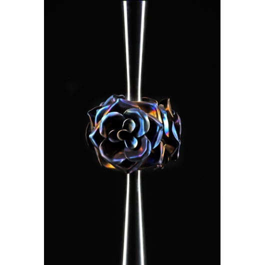 Chicha MAKLAUD ROSE