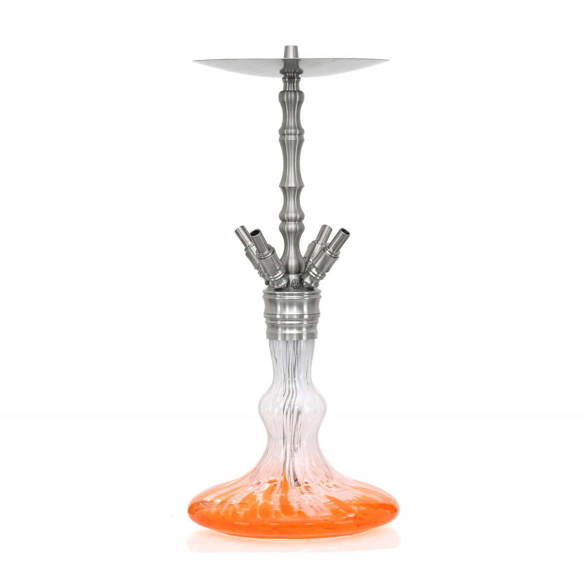Shisha Octopuz Nautiluz