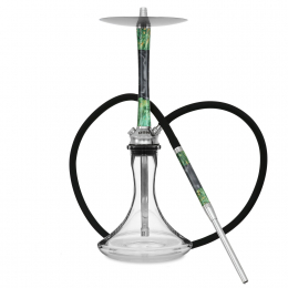 Chicha DSH Exclusive