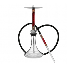 Chicha DSH Exclusive