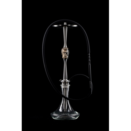 Shisha MAKLAUD BEBACKER
