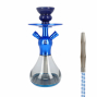 Chicha Celeste X1