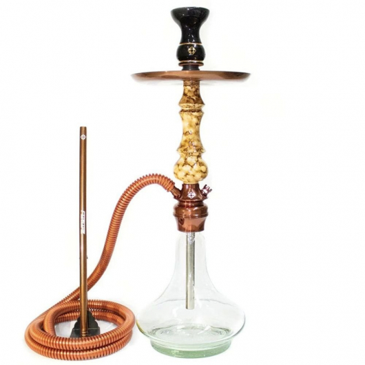 Shisha Amazon Future