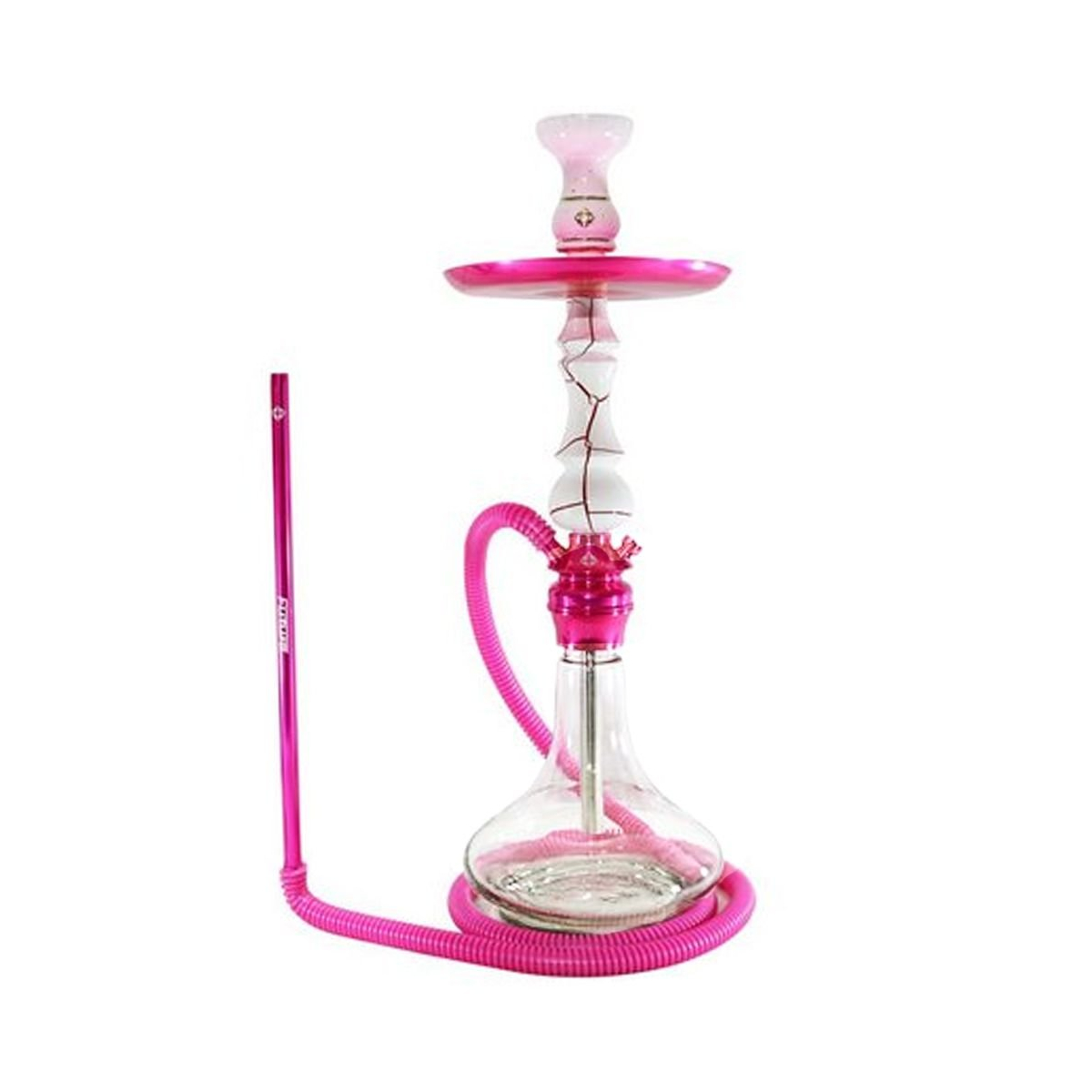 Chicha Amazon Future