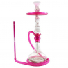 Chicha Amazon Future
