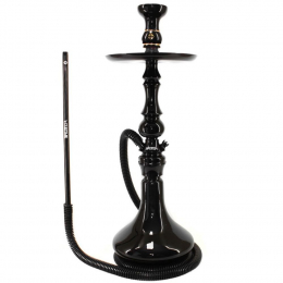 Shisha Amazon Future