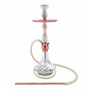 Shisha Amazon Future