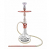 Chicha Amazon Future
