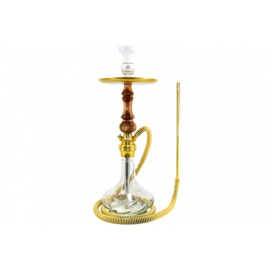 Shisha Amazon Future